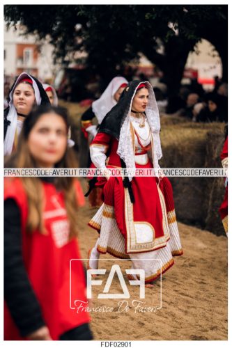 Sartiglia-Domenica-406