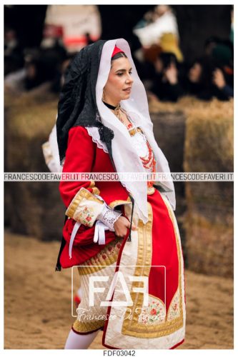 Sartiglia-Domenica-472